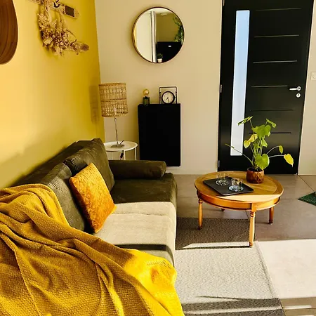 Apartamento Maison, Privative, Lumineuse, Surequipee Terrasse Et Parking